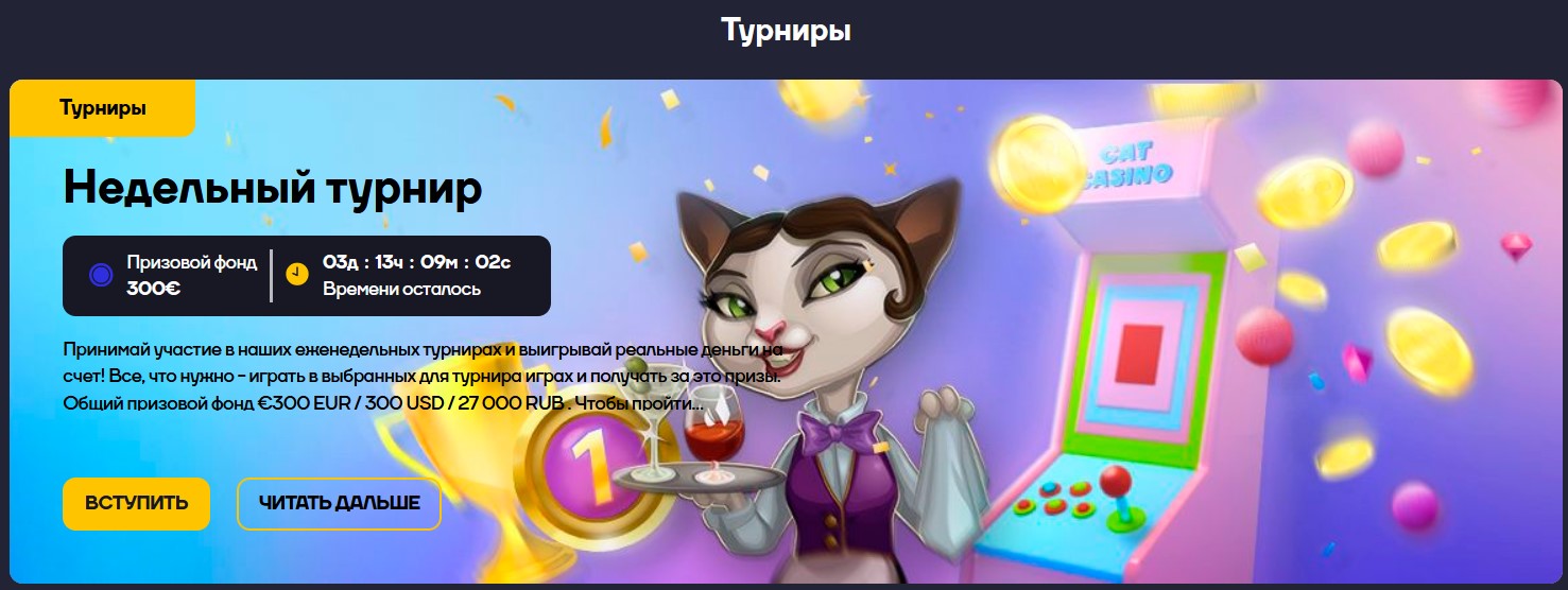 Турниры Cat Casino